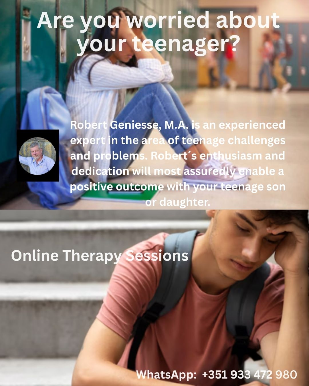 Online Therapy or Life Coaching Sessions